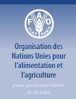 FAO, Organisation des Nations Unies pour l'Agriculture et l'Alimentation